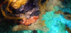 Merino Dreaming Artisan Felting